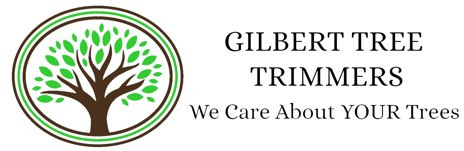 Gilbert Tree Trimmers™  Gilbert, AZ Tree Trimming & Tree Removal service, serving Gilbert Arizona tree trimming, tree removal & Deep Root Fertilization tree feeding service