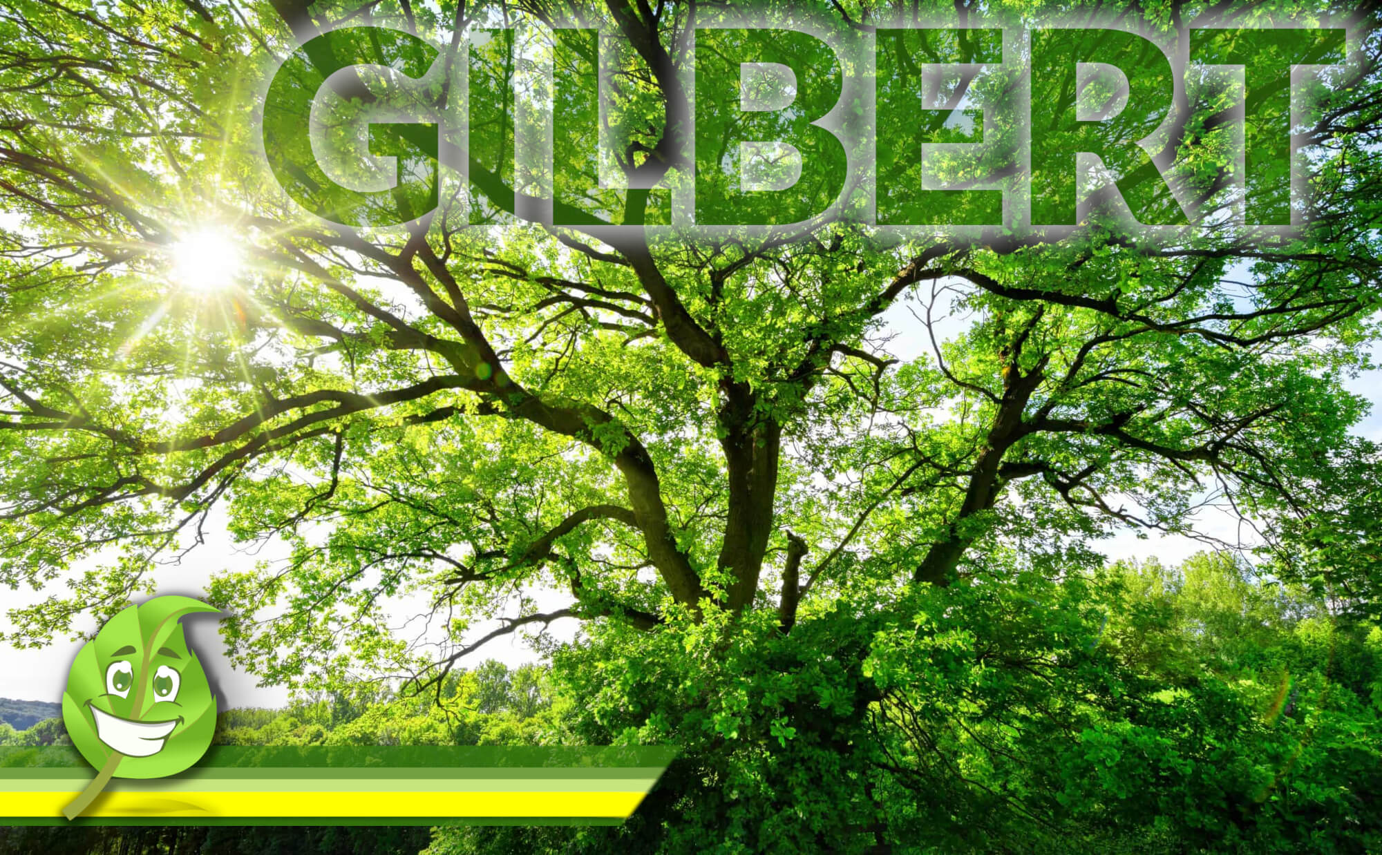 Tree Trimming Gilbert