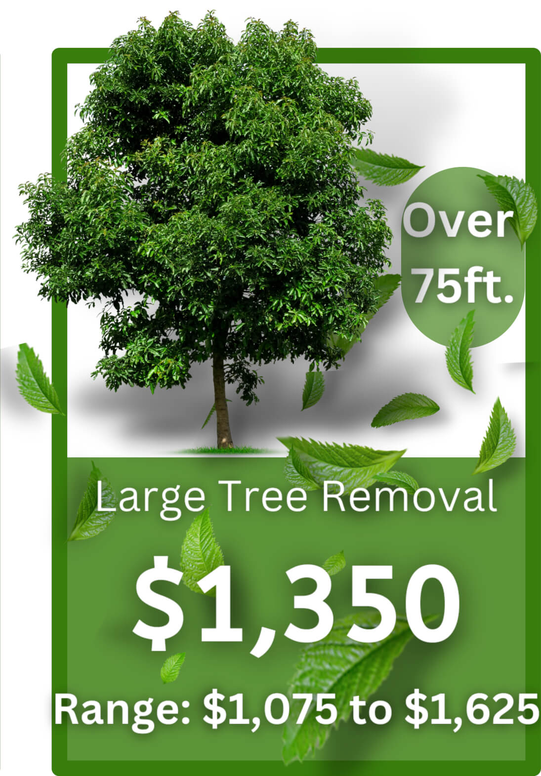 Large Tree Removal Cost Infographic