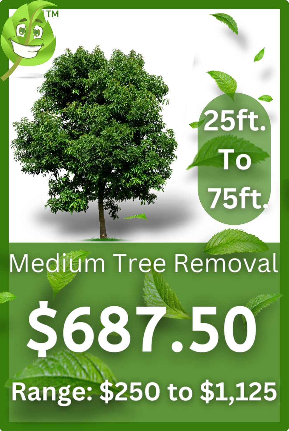 gilbert az tree removal | tree removal gilbert arizona