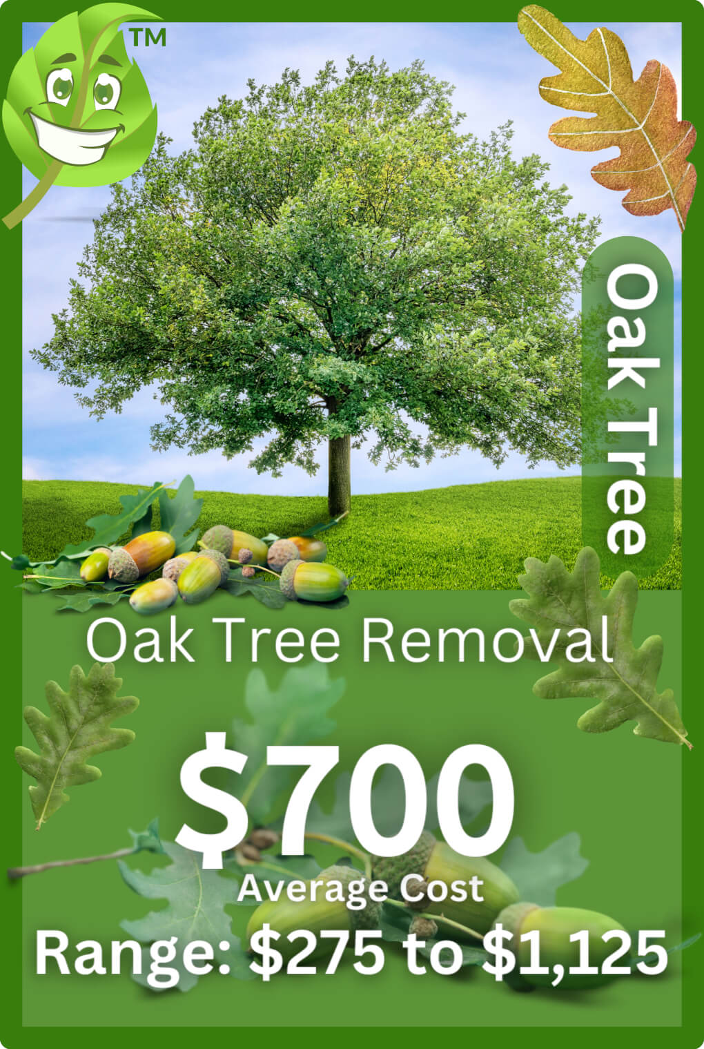 Oak Tree Removal Cost Infographic