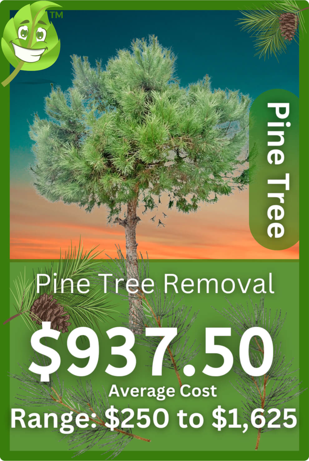 Pine Tree Removal Cost Infographic
