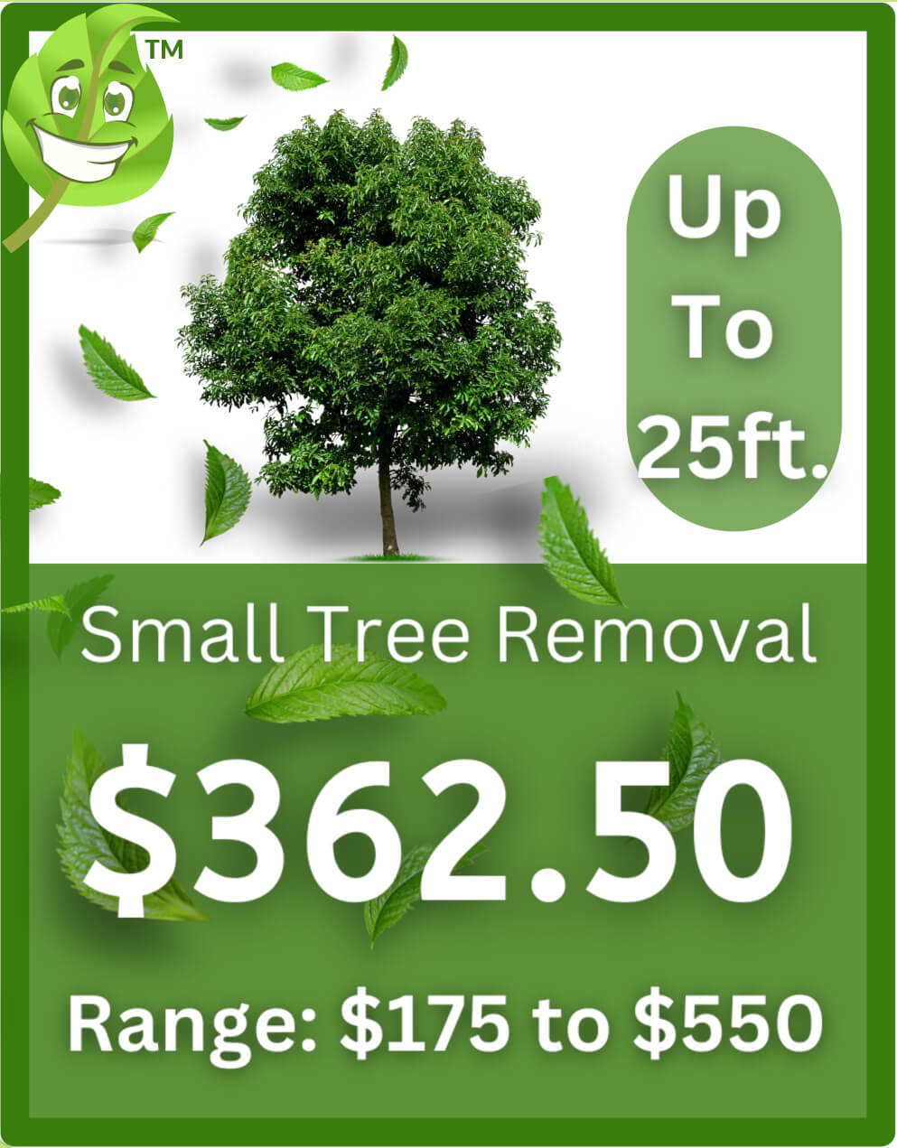 Small Tree Removal Cost Infographic