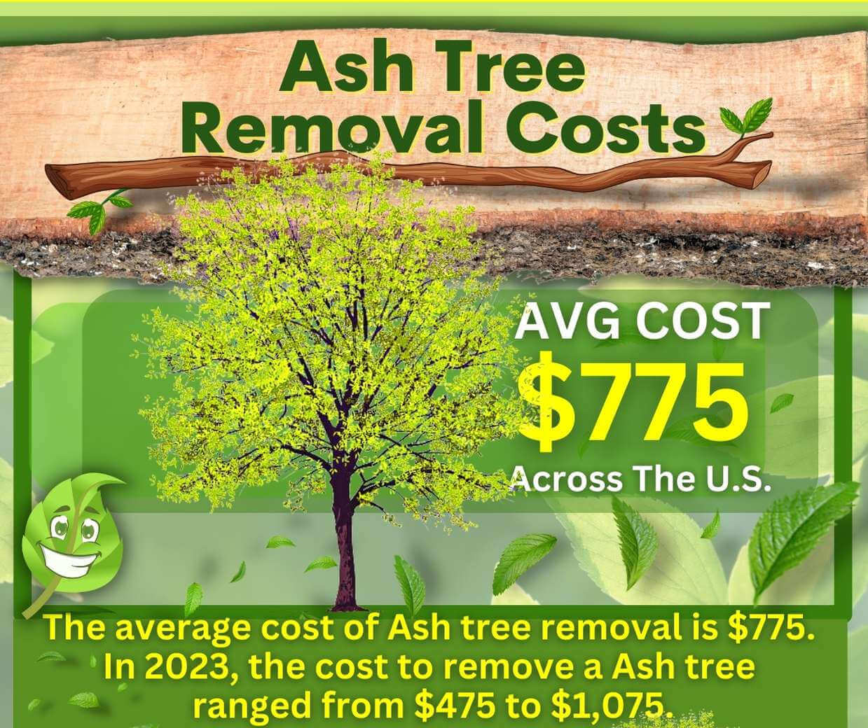 Ash Tree Removal Cost