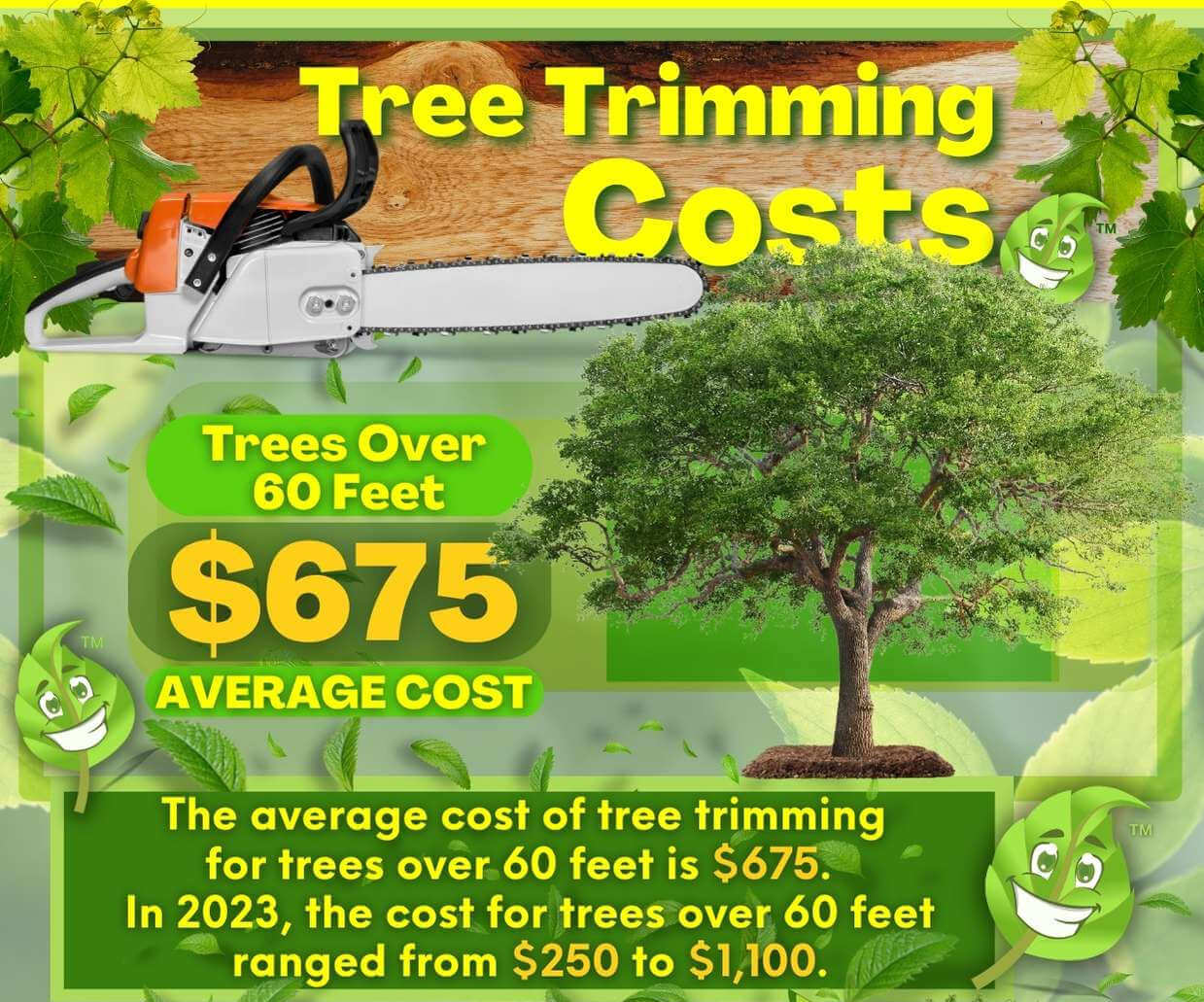 Large Tree Trimming Cost