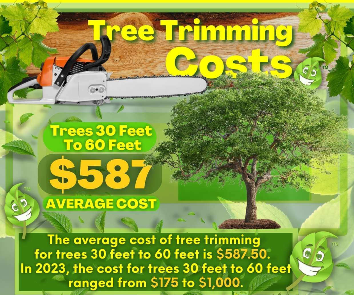 Medium Tree Trimming Cost