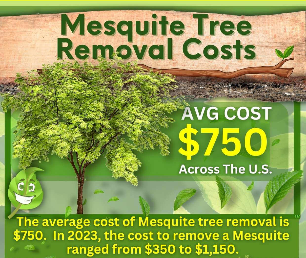 Mesquite Tree Removal Cost
