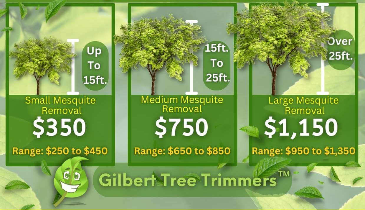 Mesquite Tree Removal Cost By Height