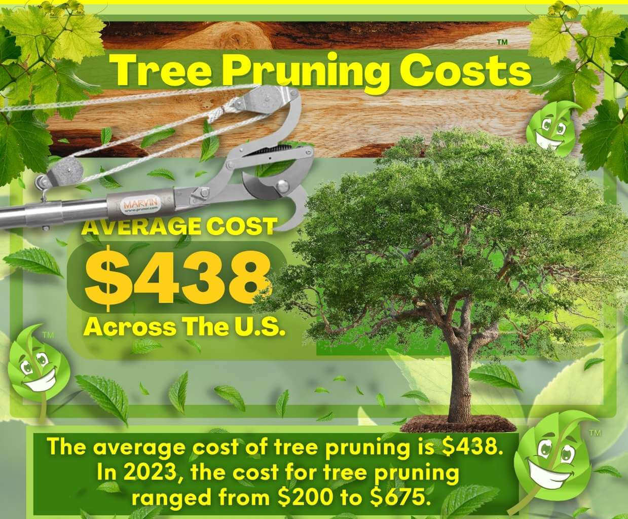 Tree Pruning Costs
