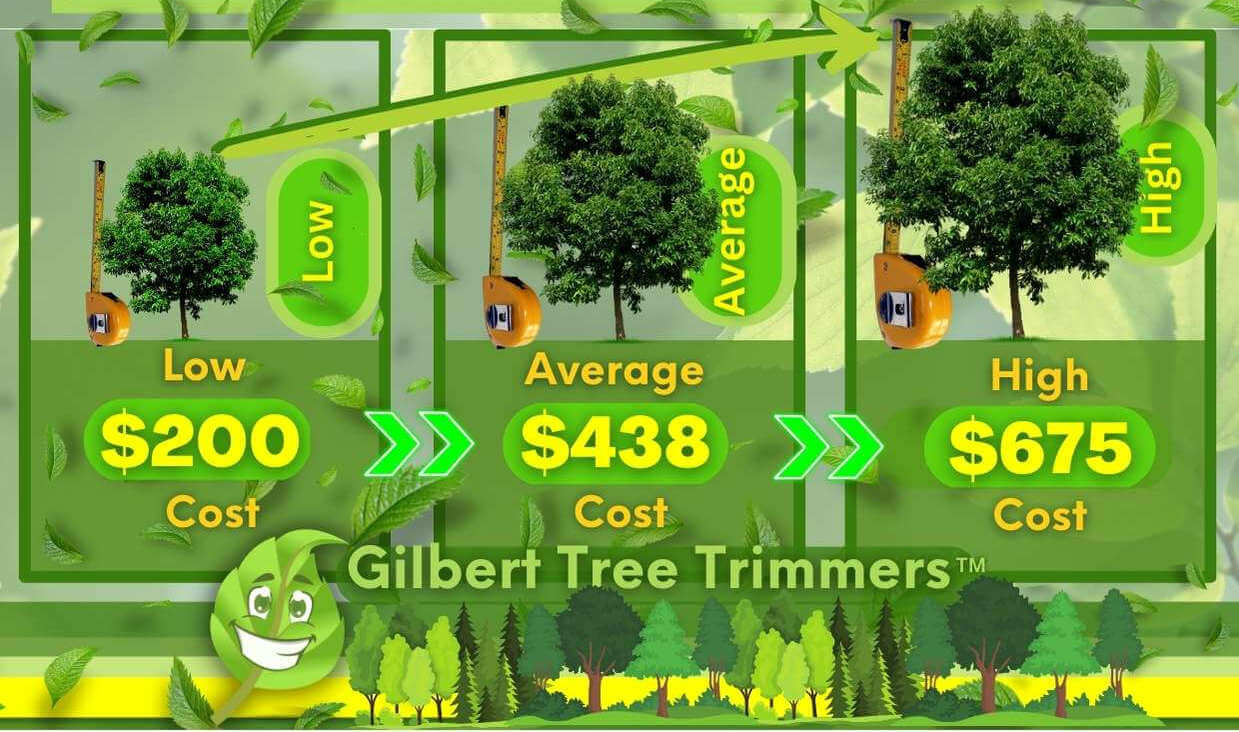 Tree Pruning Cost By Size