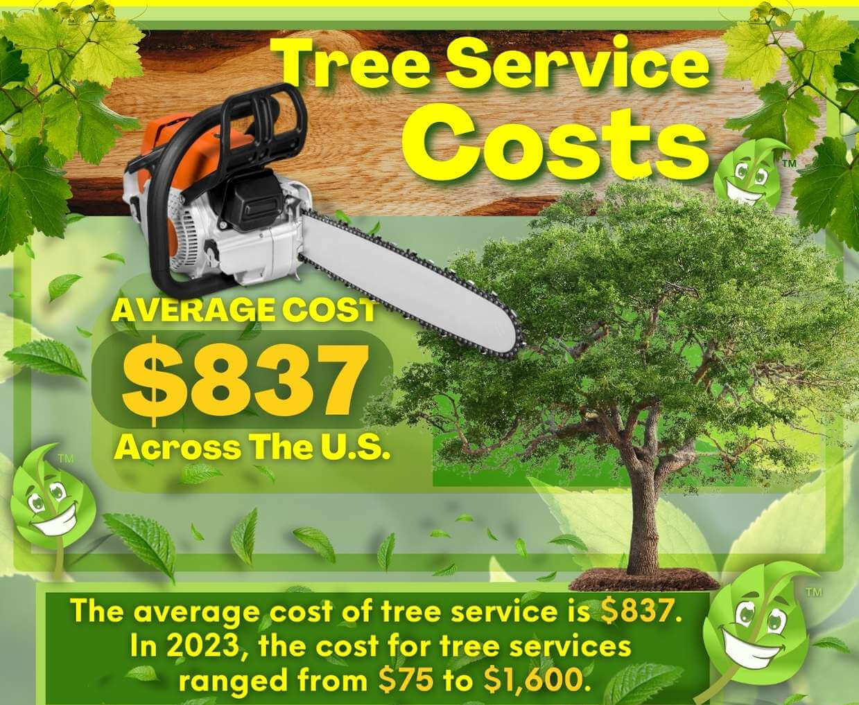 Tree Service Costs
