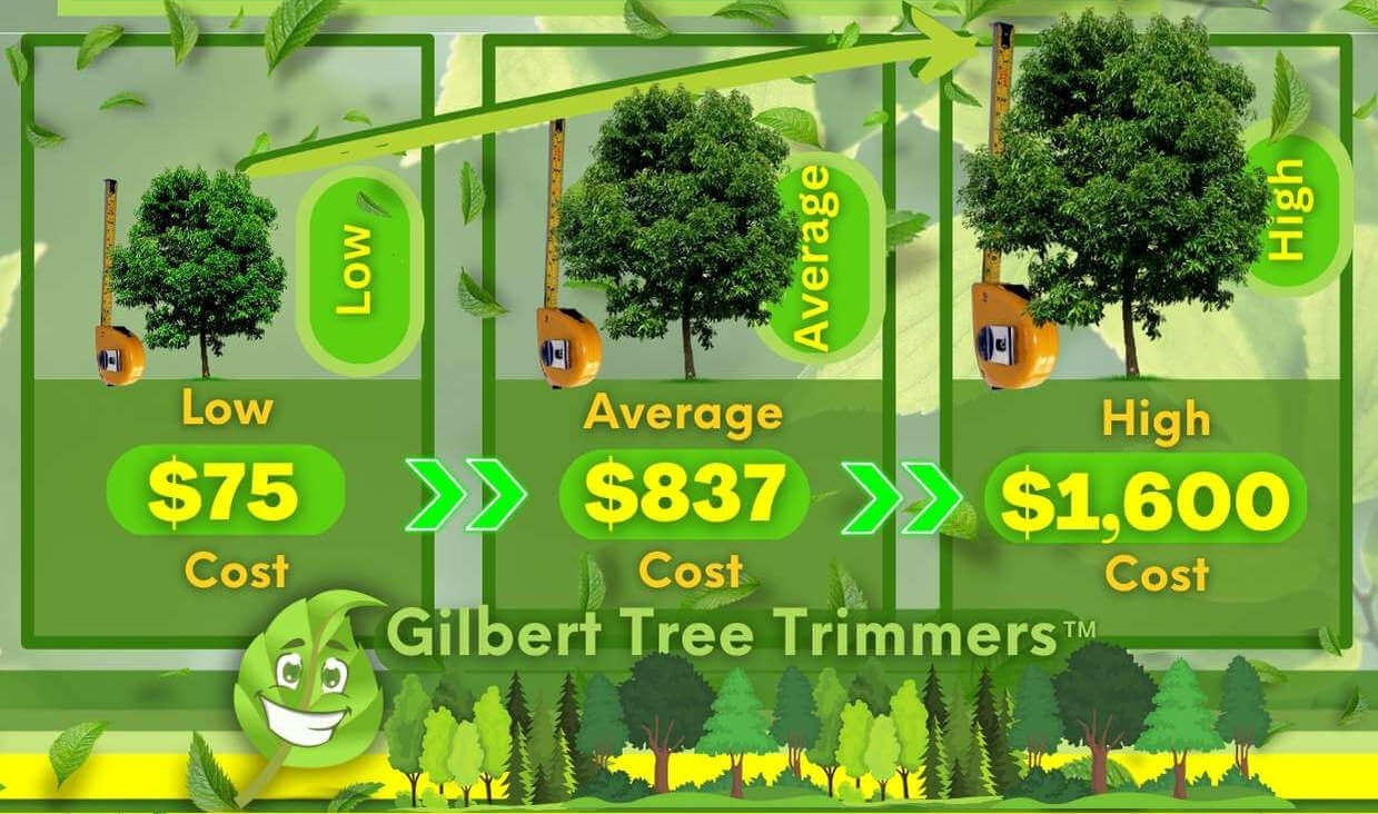 Tree Service Cost By Size
