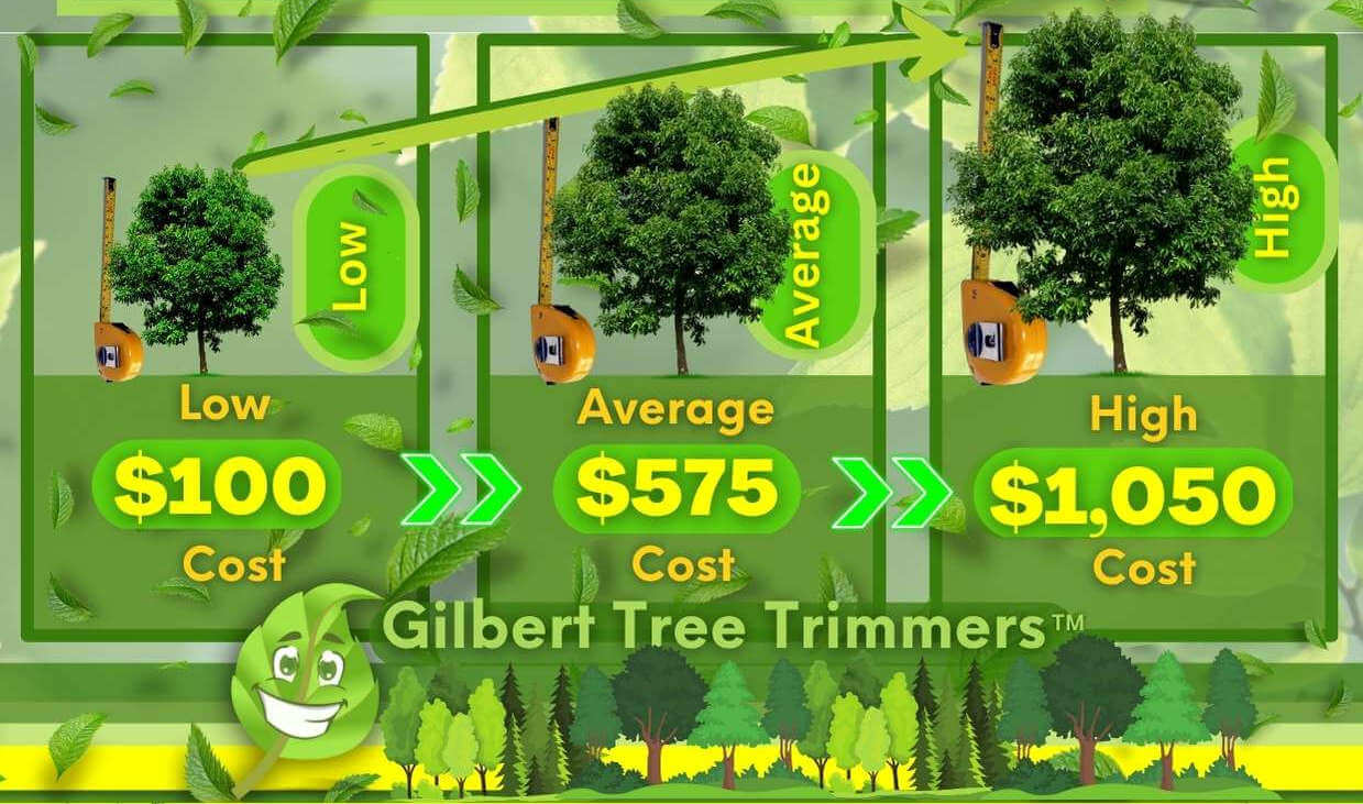 Tree Trimming Cost By Size