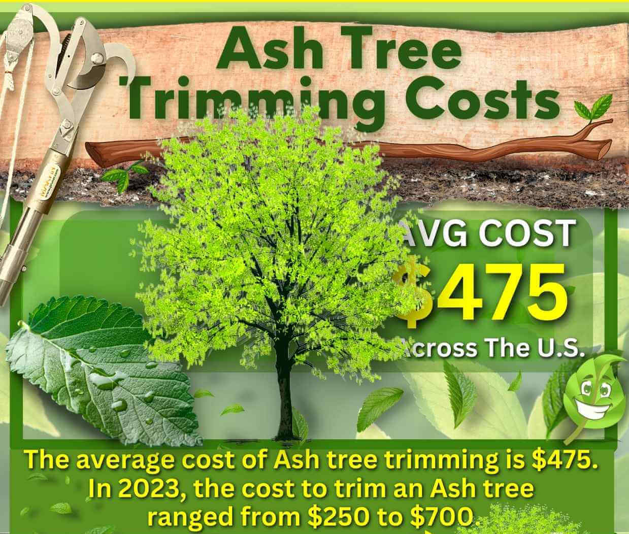 Ash Tree Trimming Cost