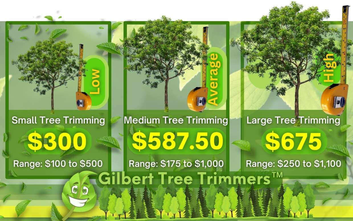 Average Tree Trimming Cost in 2023