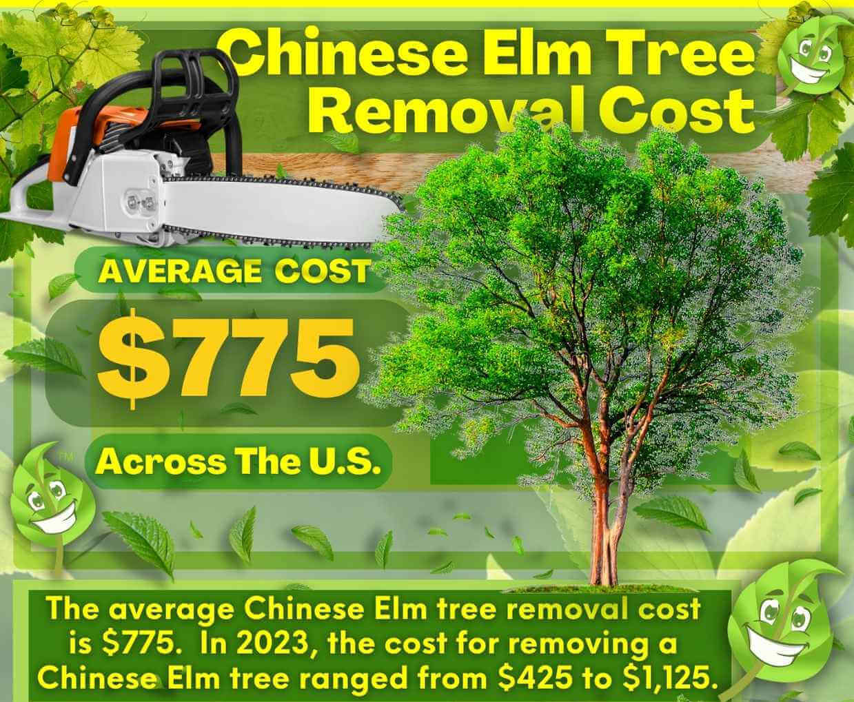 Chinese Elm Tree Removal Cost