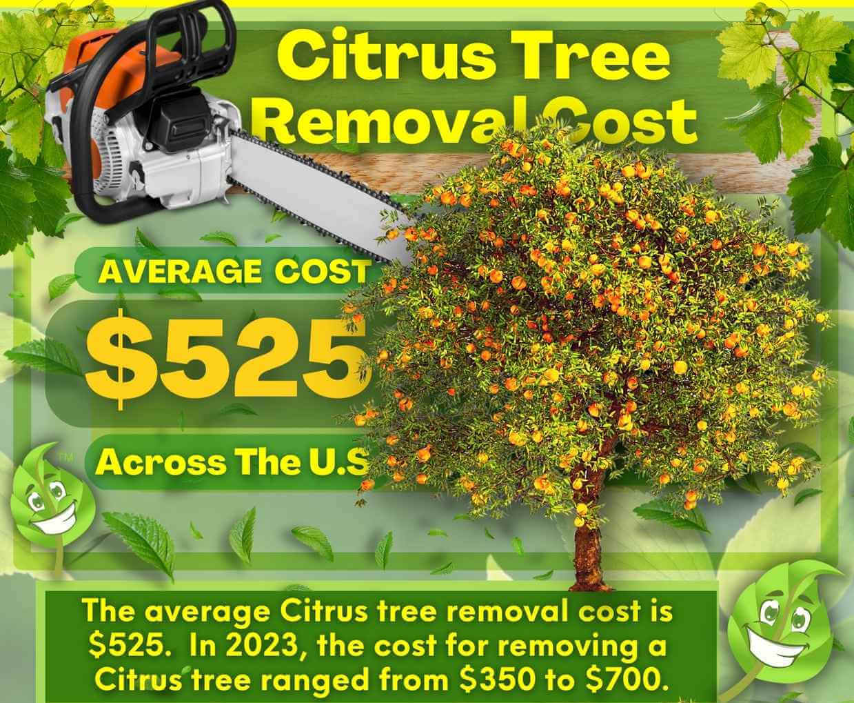 Citrus Tree Removal Cost