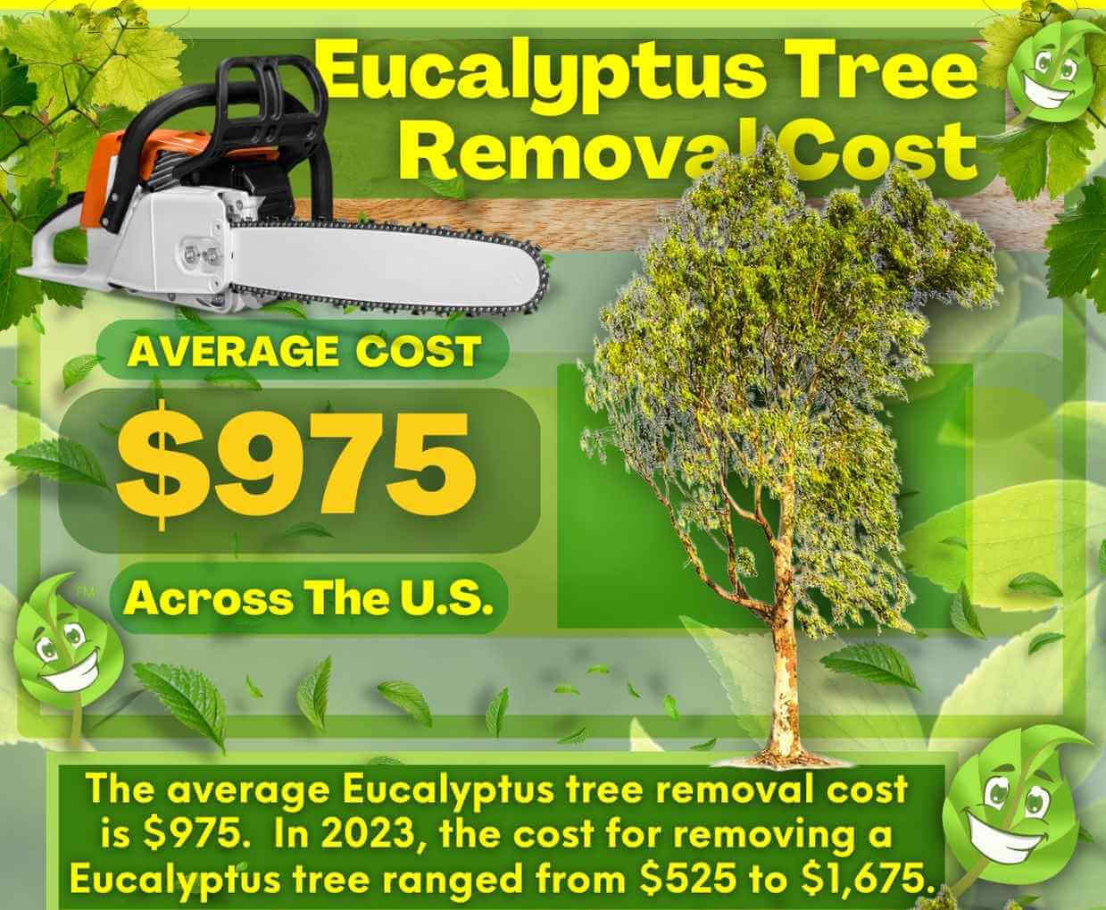 Eucalyptus Tree Removal Cost