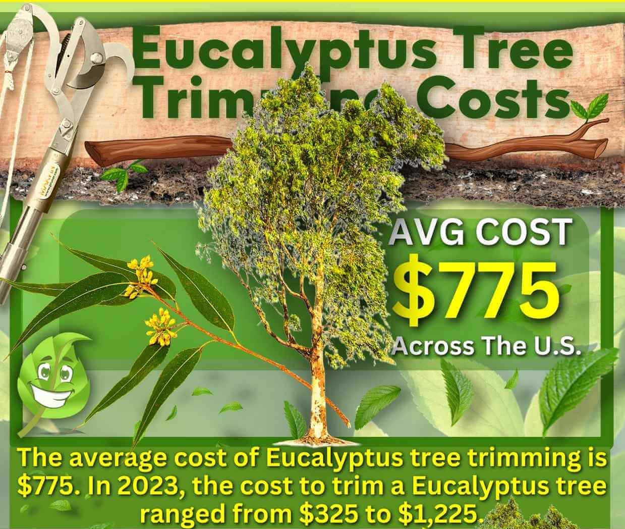 Eucalyptus tree trimming cost