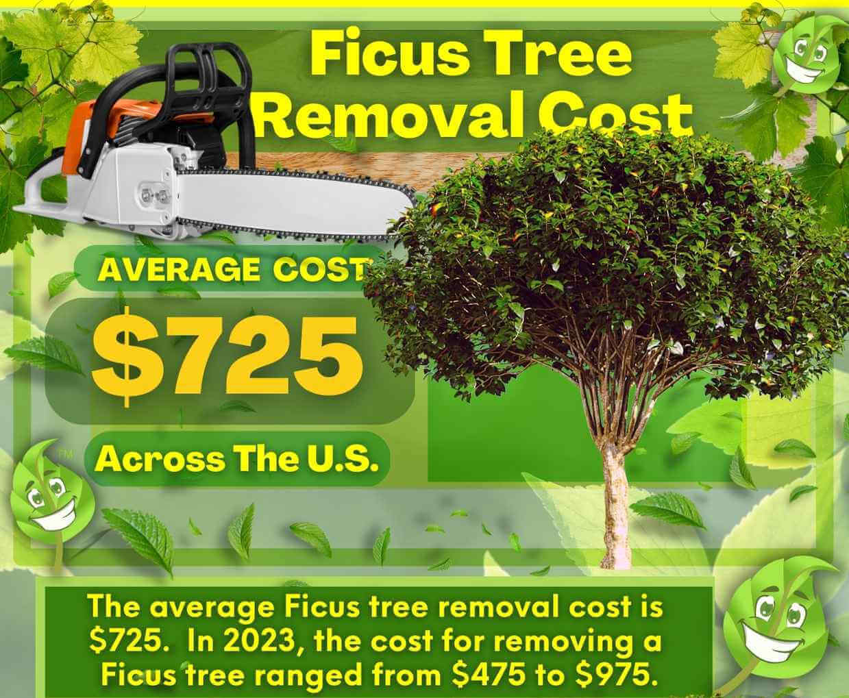 Ficus Tree Removal Cost