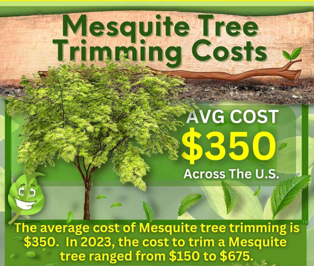 Mesquite Tree Trimming Cost