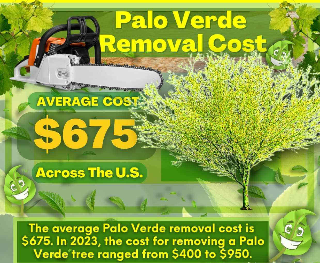 Palo Verde Removal Cost