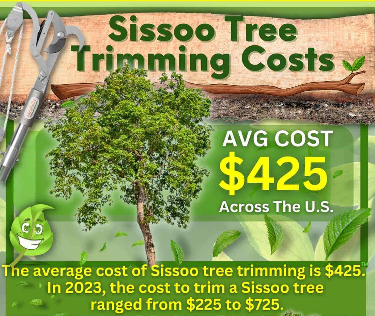 Sissoo tree trimming cost