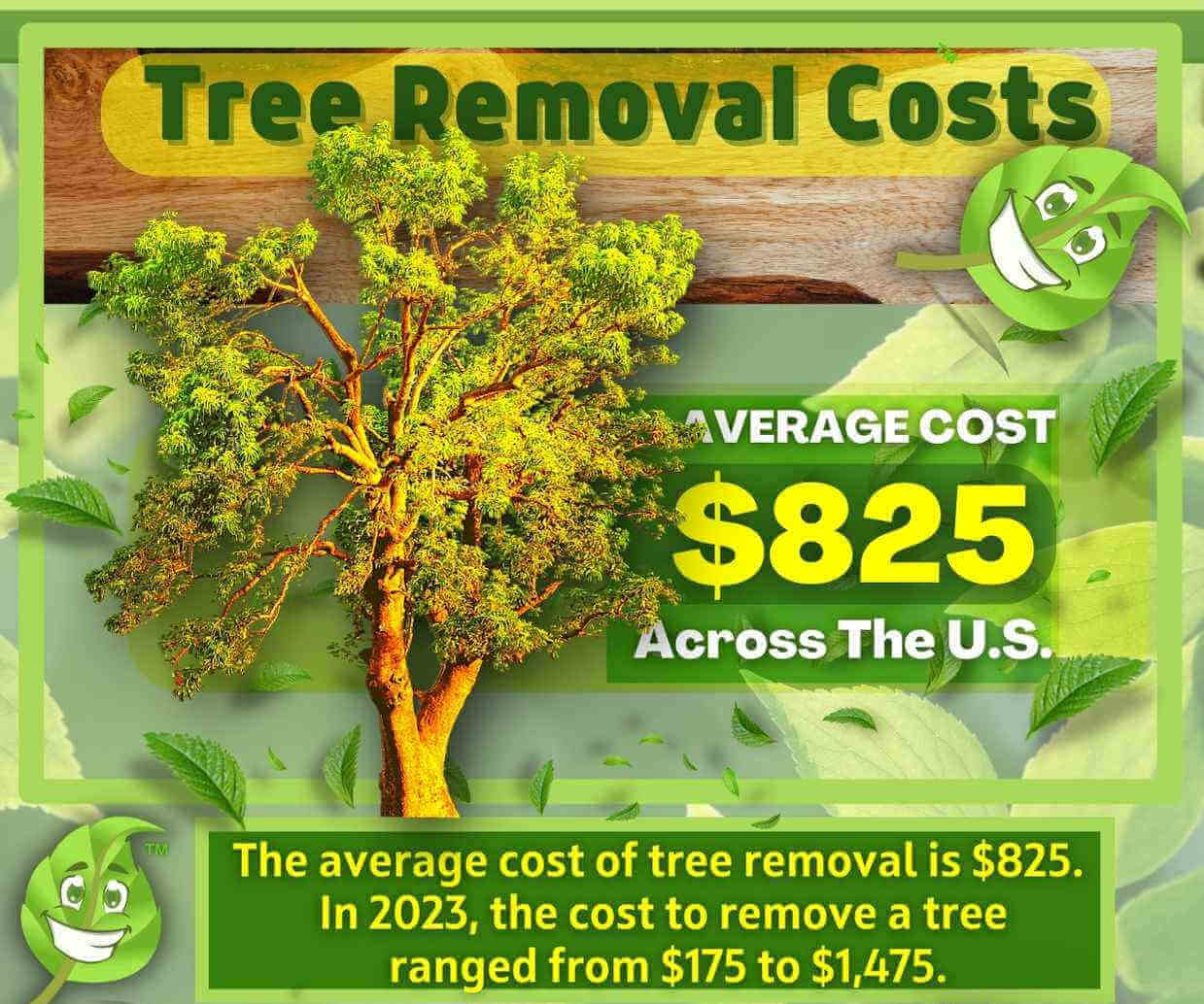 Tree Removal Cost