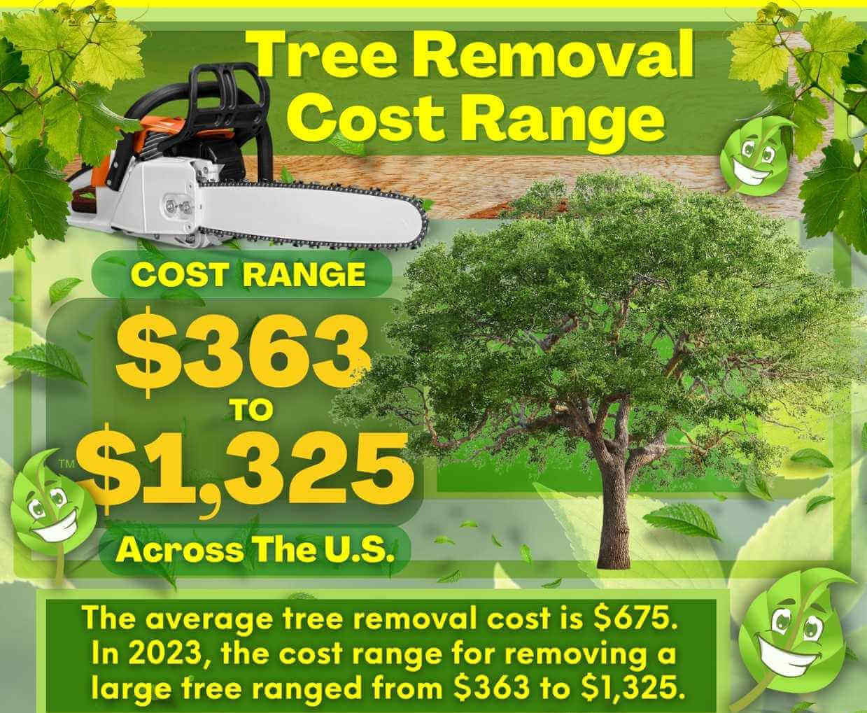 Tree Removal Cost Range