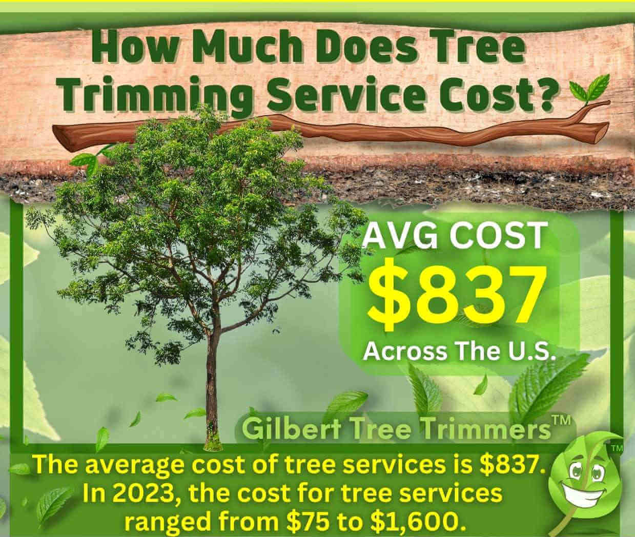 How Much Is Tree Trimming Service Cost?