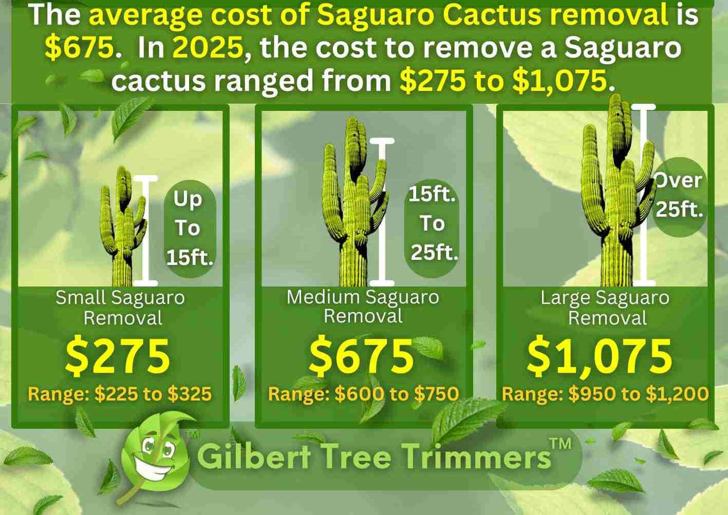Cactus Removal