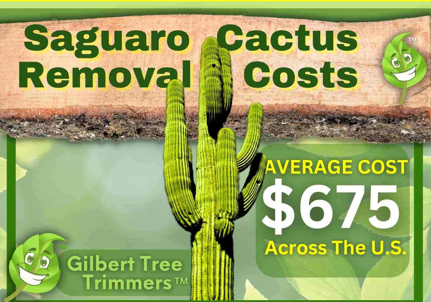 Cactus Removal