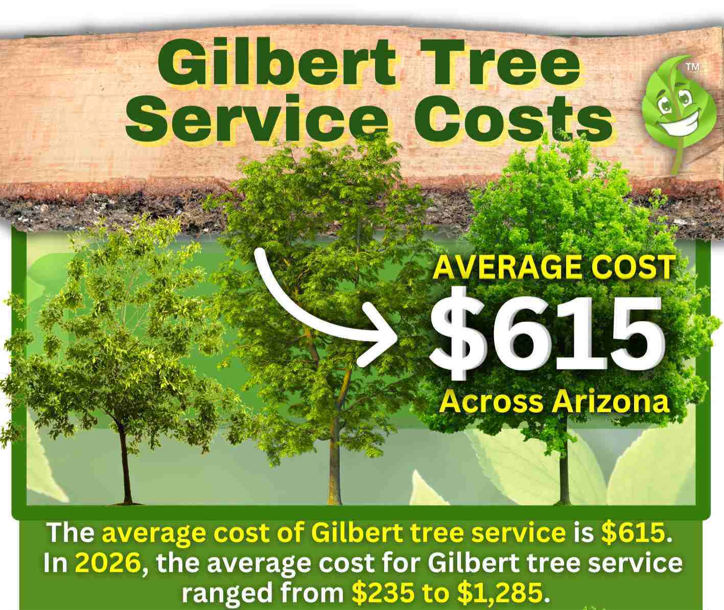 Gilbert Tree Service