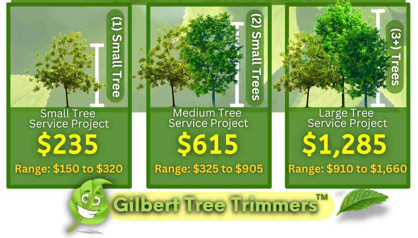 Gilbert Tree Service Cost
