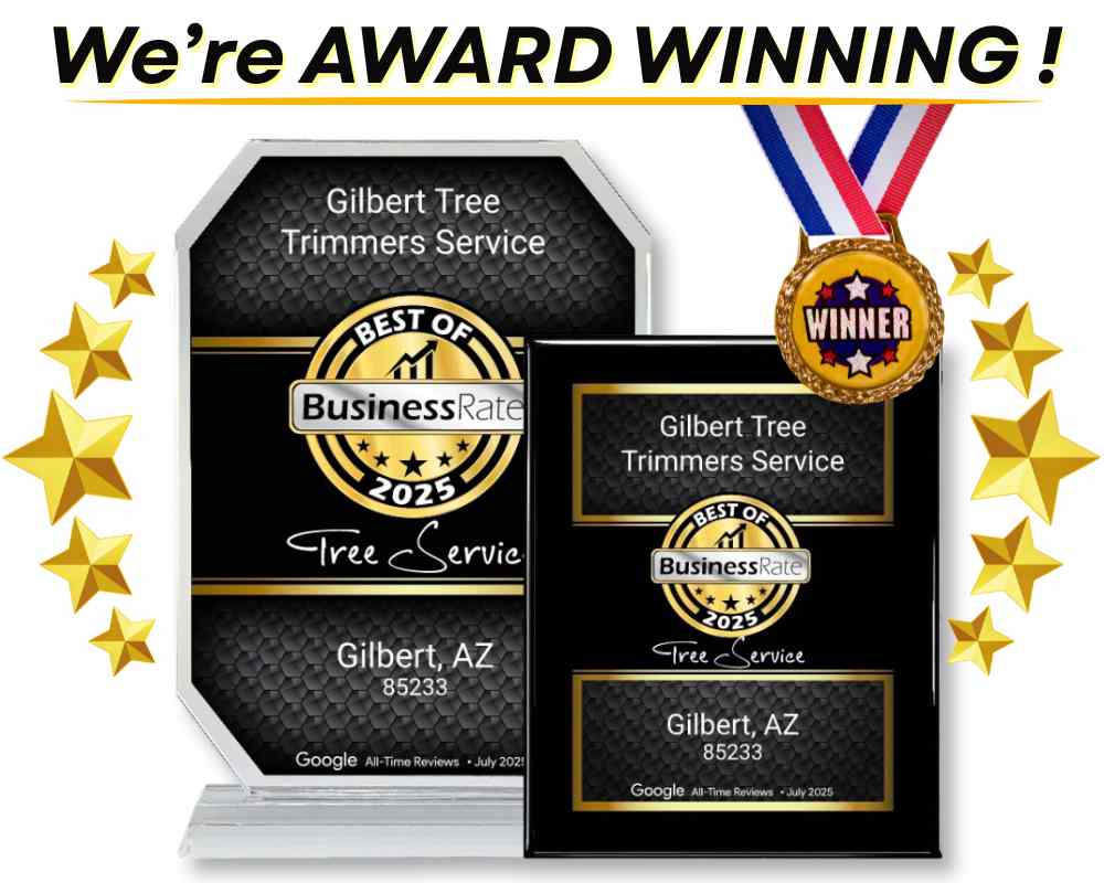 Gilbert Tree Service, AWARD WINNING !