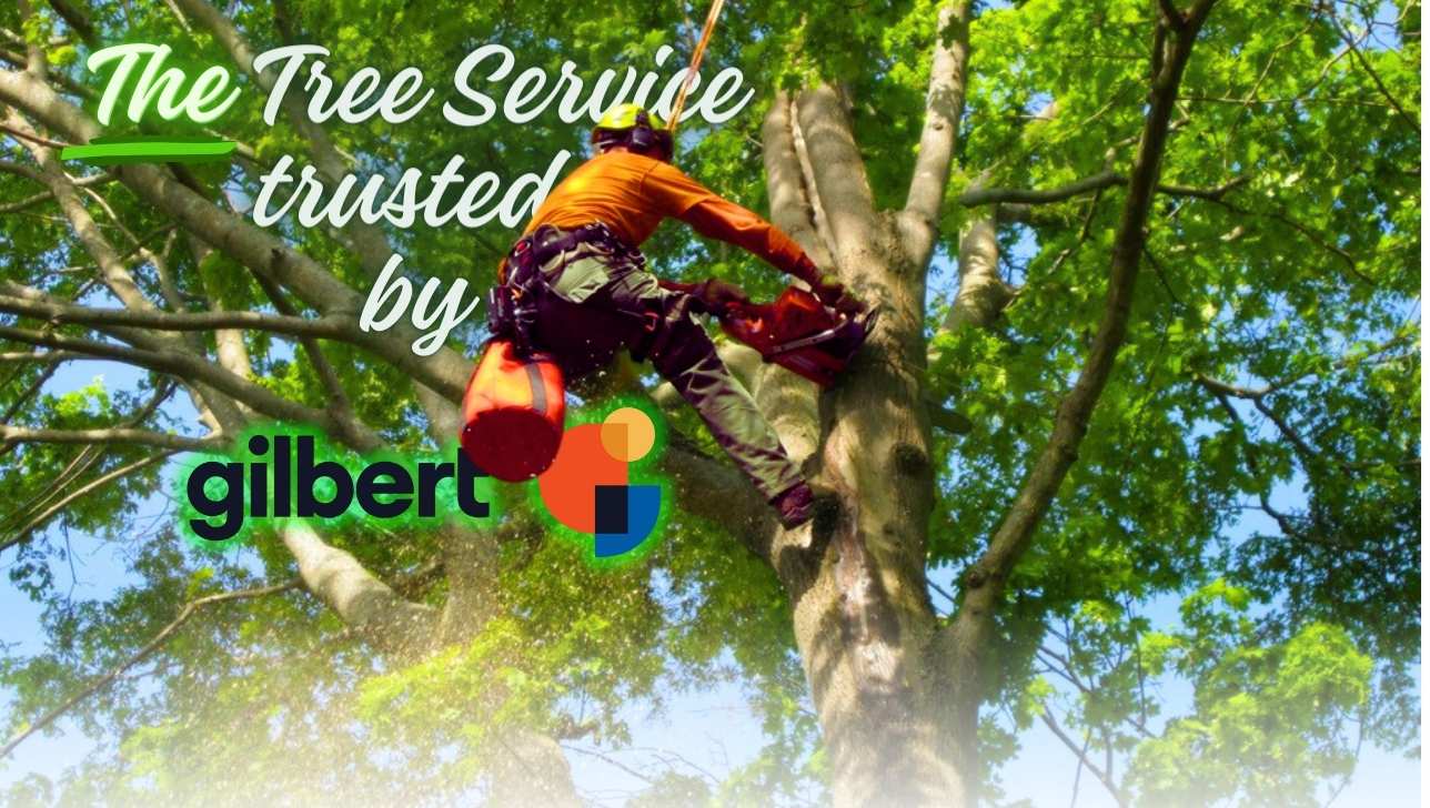 Gilbert Tree Service