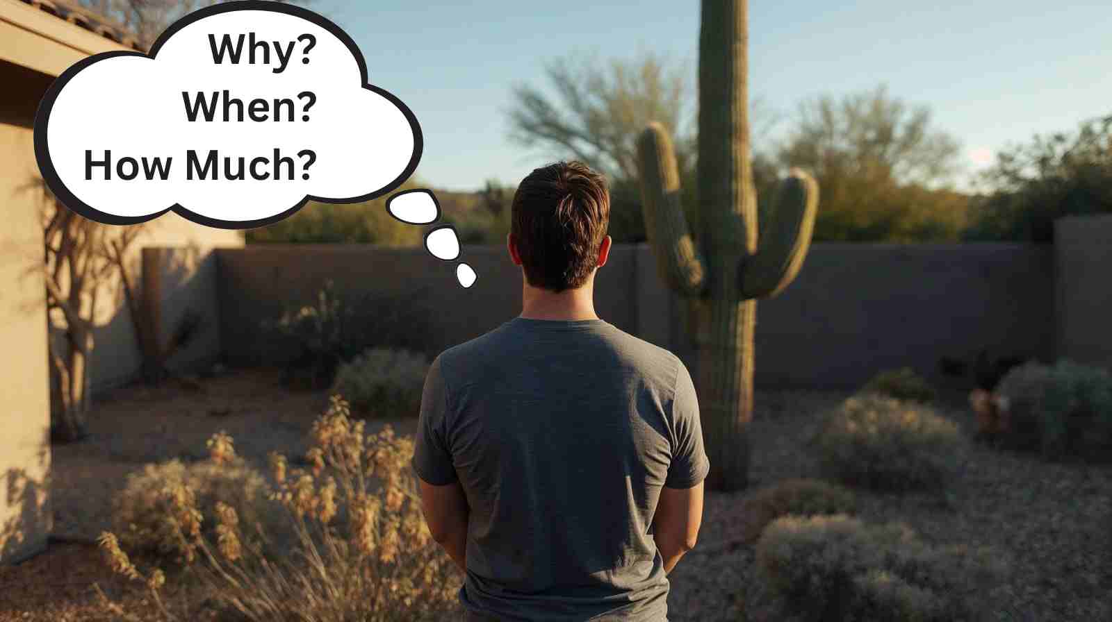 How Much does Saguaro Removal Cost?