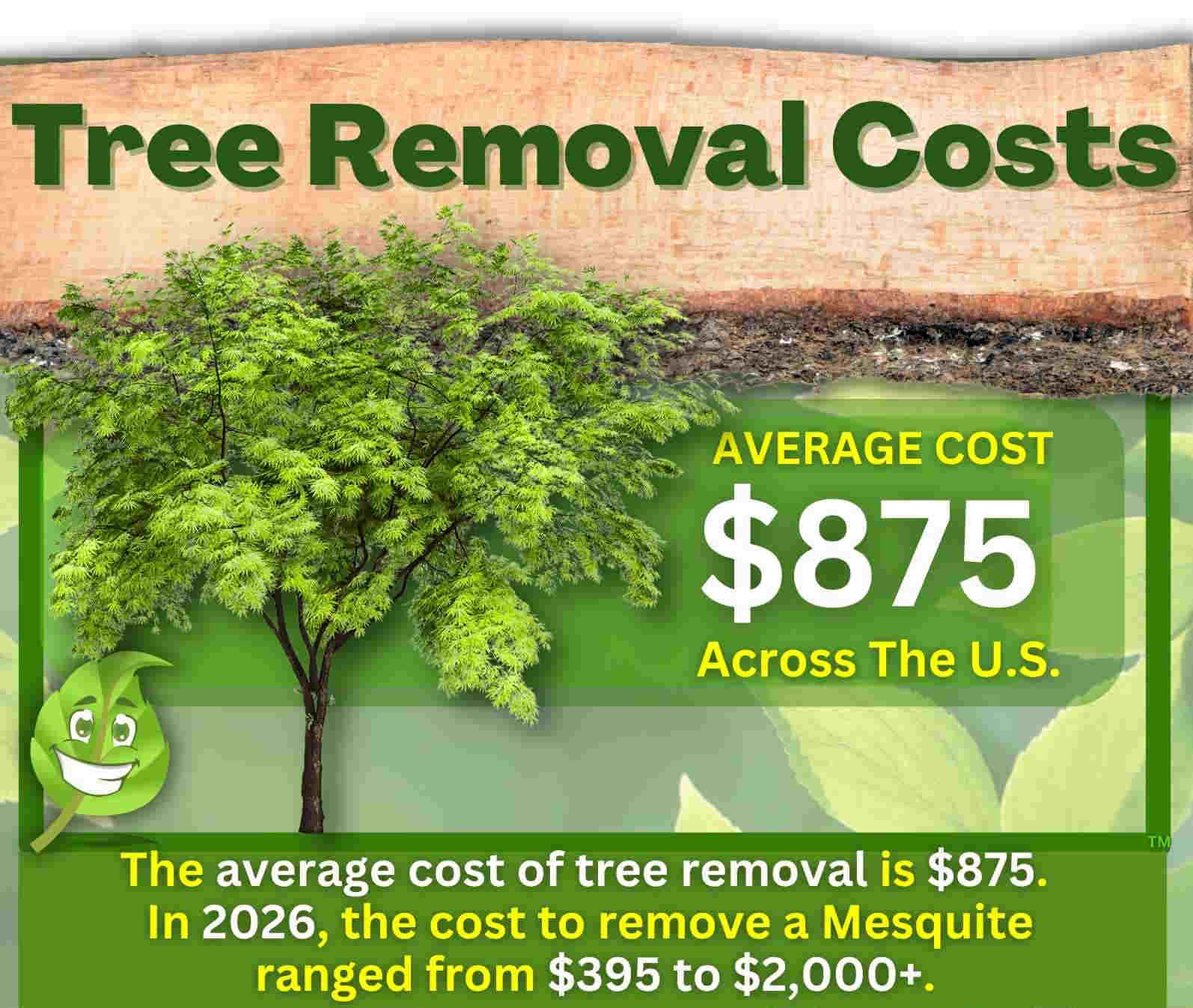 Average Tree Removal Cost