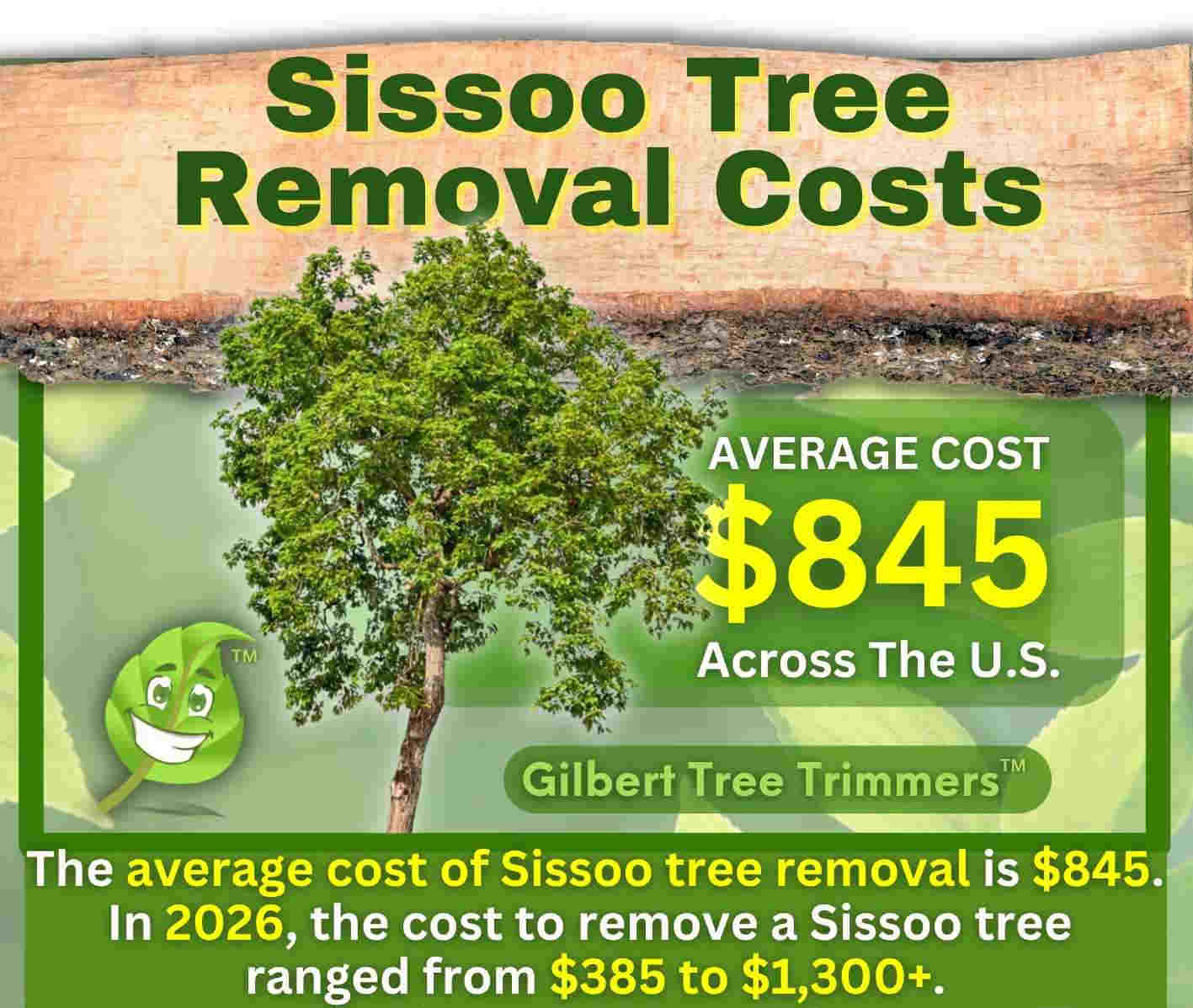 Sissoo Tree Removal Cost