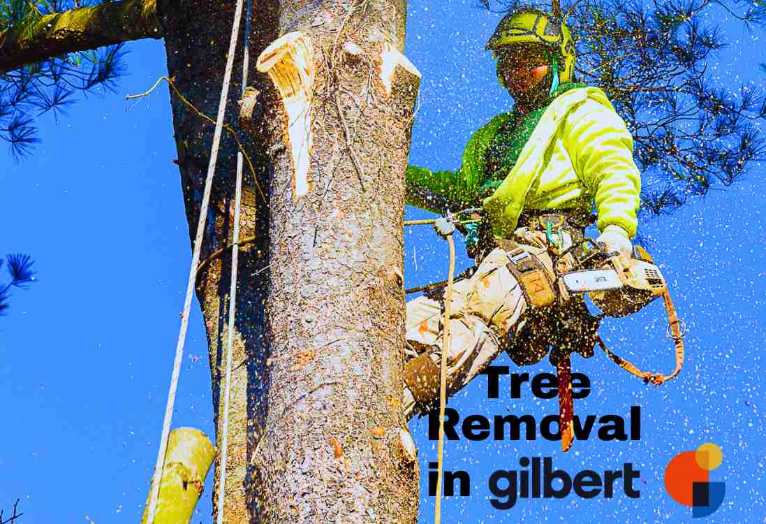 Tree Removal Gilbert