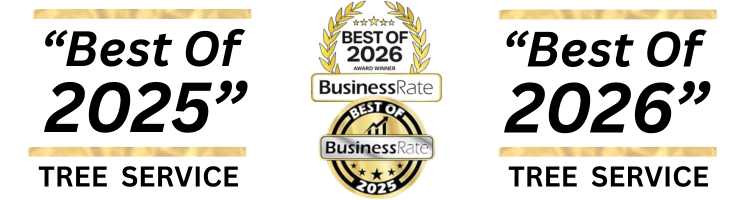 BusinessRATE Award Best of 2025 & 2026