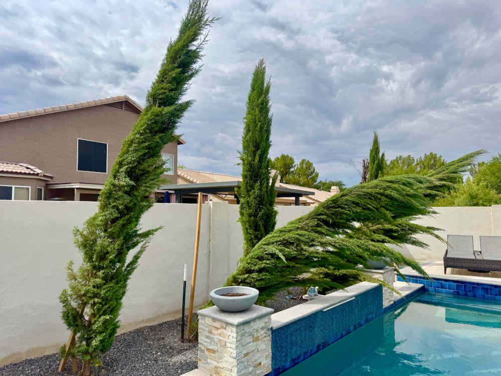 Storm-Damage-tree-1000x750.jpg