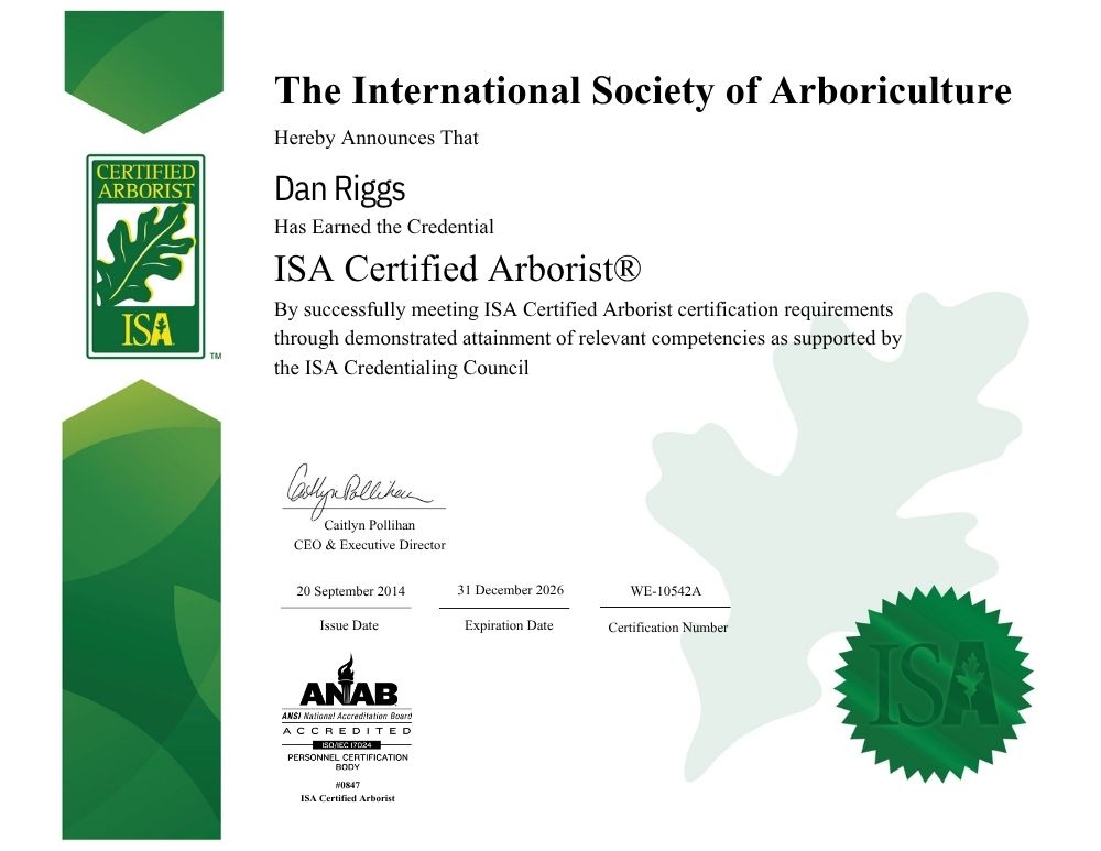 Certified-Arborist-1000x773.jpg